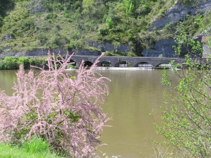 P5030050.JPG