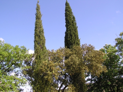 P4300691.JPG