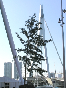 P8300146.JPG