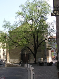 P4130252.JPG