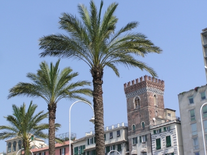 P4140071.JPG