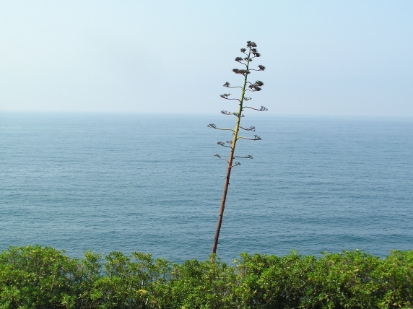 P4150062.JPG