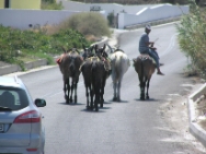 Crete2009-0807