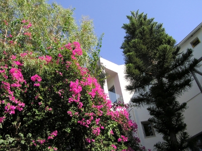 Crete2009-0154.JPG