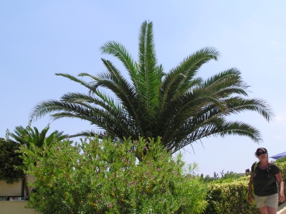 Crete2009-0234.JPG