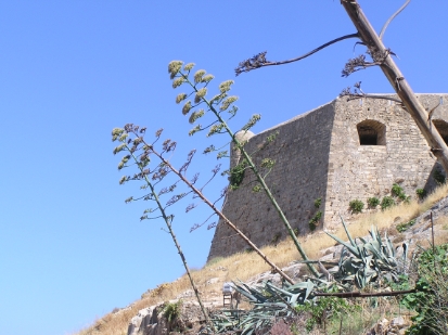 Crete2009-0372.JPG