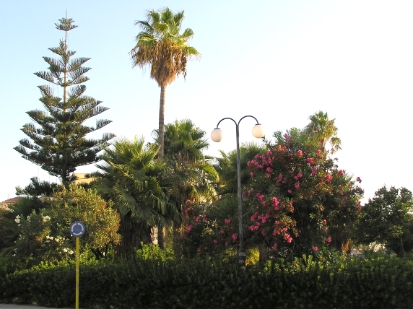 Crete2009-0456.JPG