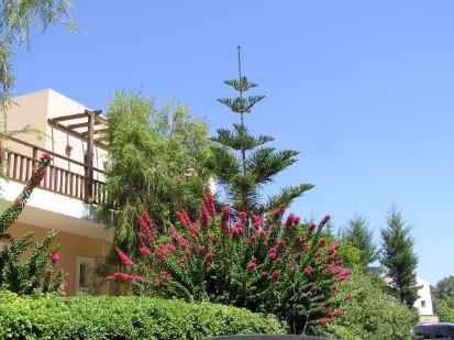 Crete2009-0522.JPG
