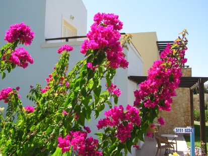 Crete2009-0546.JPG