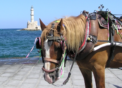 Crete2009-0622.JPG