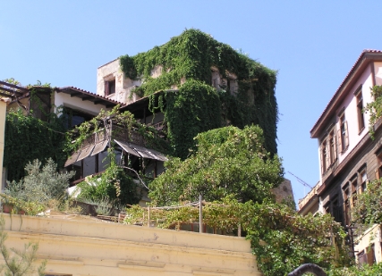 Crete2009-0647.JPG