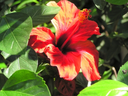 Crete2009-0679.JPG