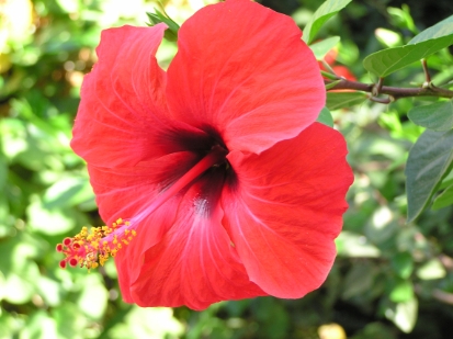 Crete2009-0680.JPG