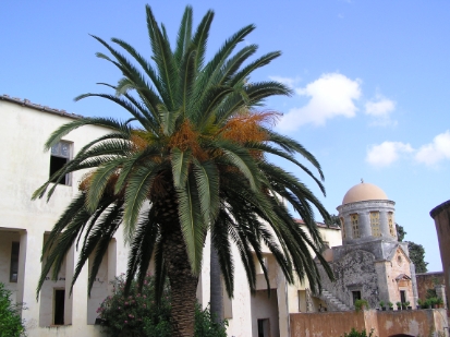 Crete2009-0694.JPG