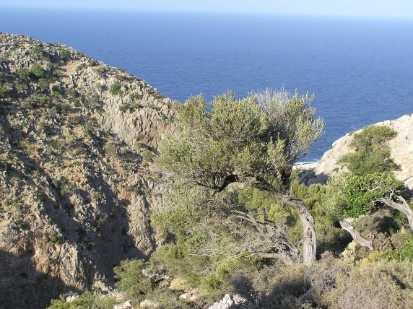 Crete2009-0740.JPG