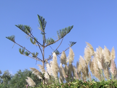 Crete2009-1210.JPG