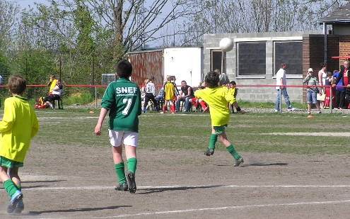 P4240089.JPG