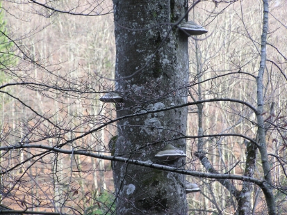 P4030330.JPG