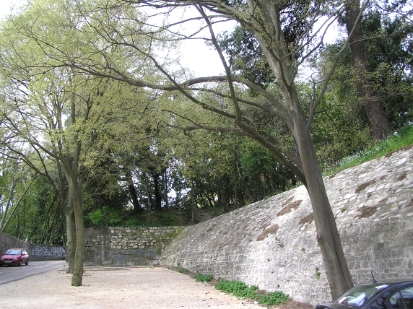 P4040004.JPG