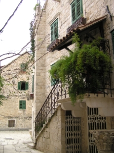 P1050240.JPG