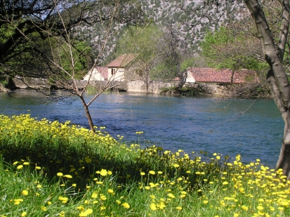 P4070914.JPG