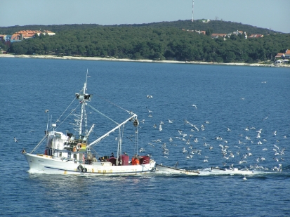 P4080983.JPG