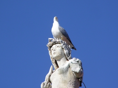 P4081120.JPG