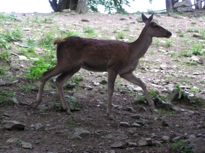 P8010566.JPG