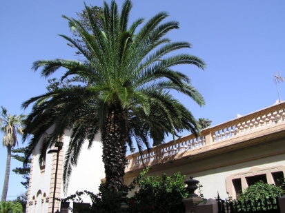 P8250574.JPG