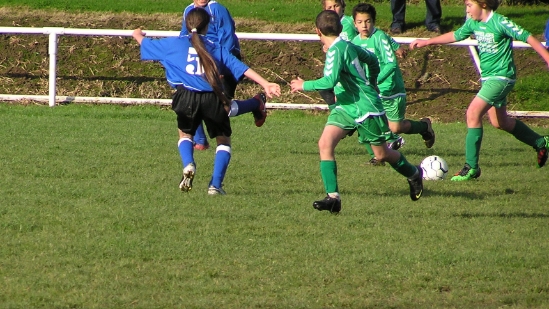 PA240014.JPG