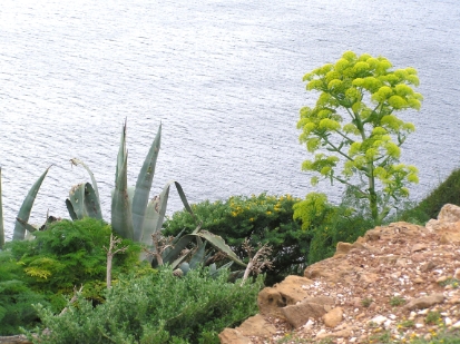 Athènes-665.JPG