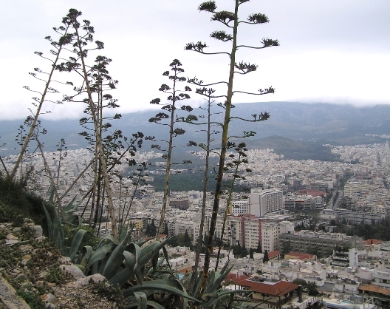 Athènes-724.JPG