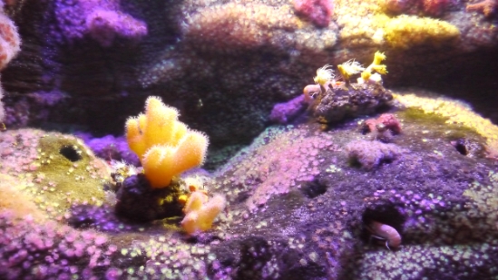 P1010655.JPG