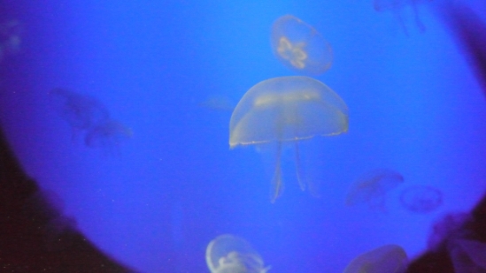 P1010693.JPG
