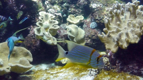 P1010733.JPG