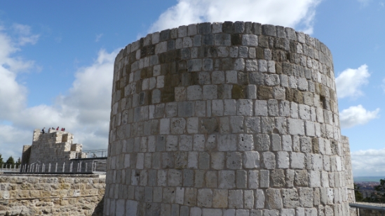 P1020113.JPG
