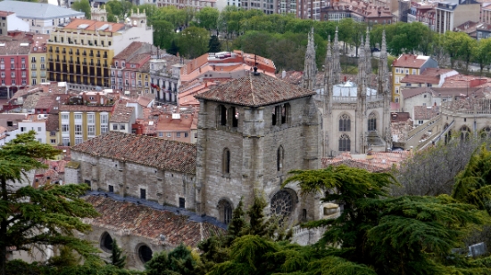 P1020127.JPG