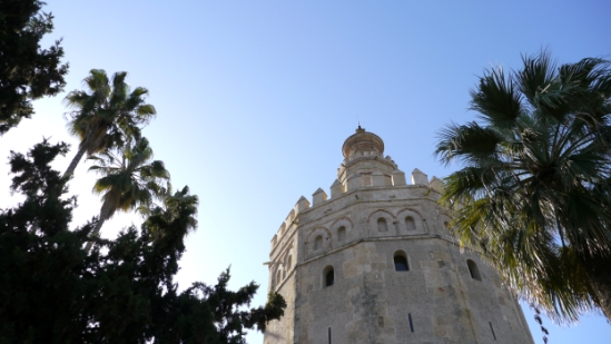 P1020751.JPG