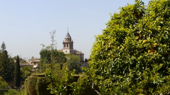 P1030113.JPG