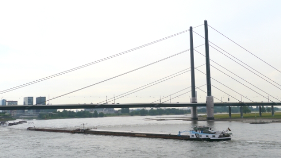 P1050585.JPG