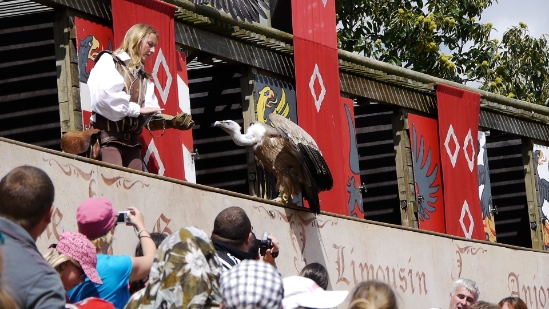 P1080174.JPG