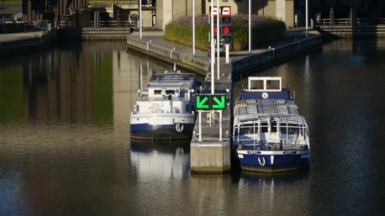 P1100023.JPG