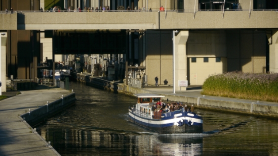 P1100037.JPG