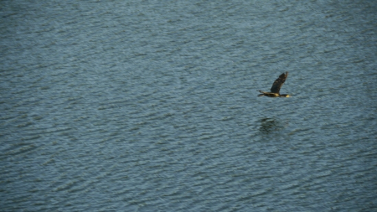 P1100041.JPG