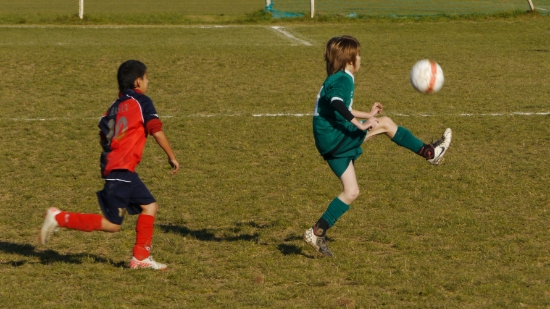 P1100570.JPG