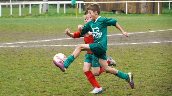 P1100398.JPG