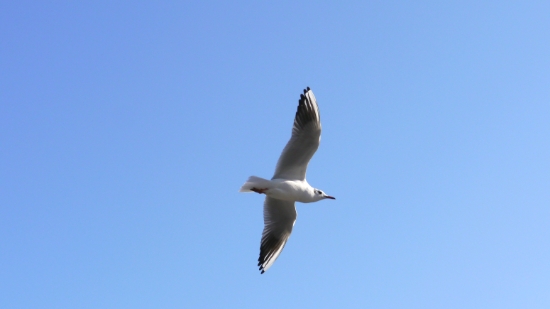 P1100997.JPG