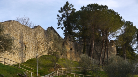 P1120534.JPG