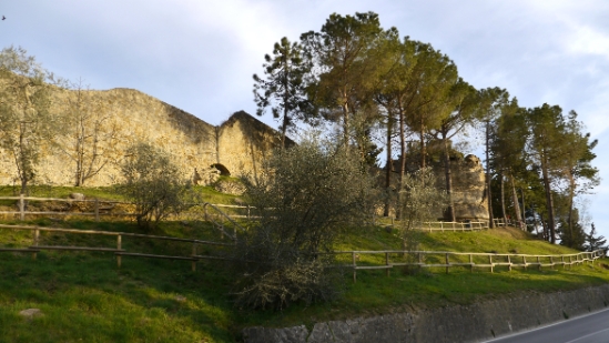 P1120535.JPG