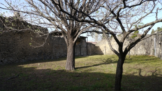 P1130327.JPG